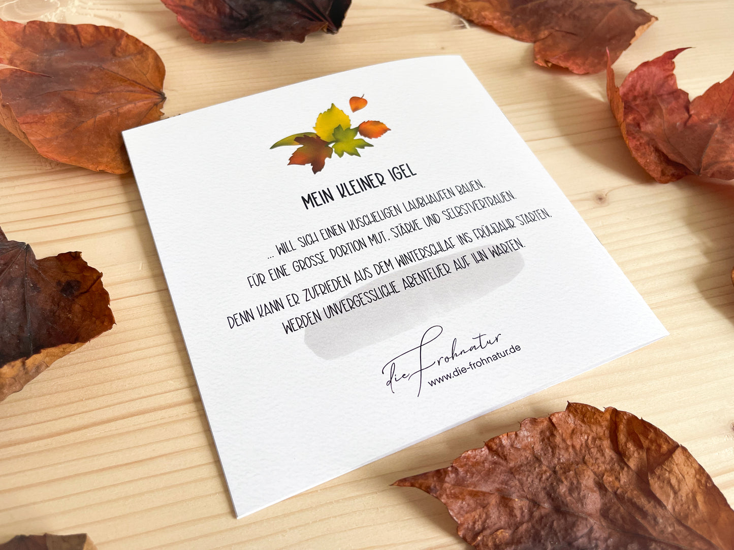 Affirmations-Set "Mein kleiner Igel" - Sorgenvertreiber