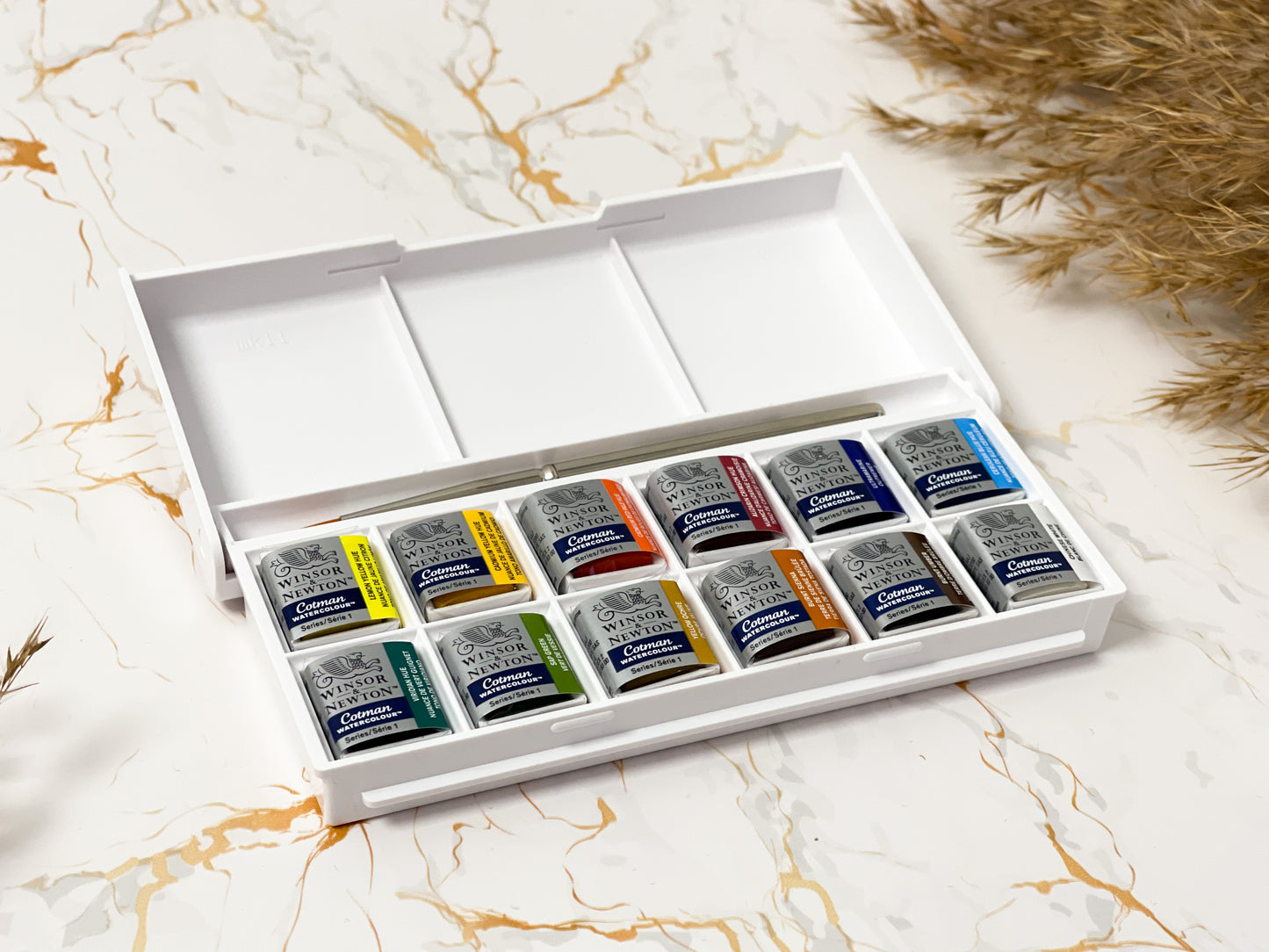 Anfänger Aquarellmalkasten - Winsor & Newton